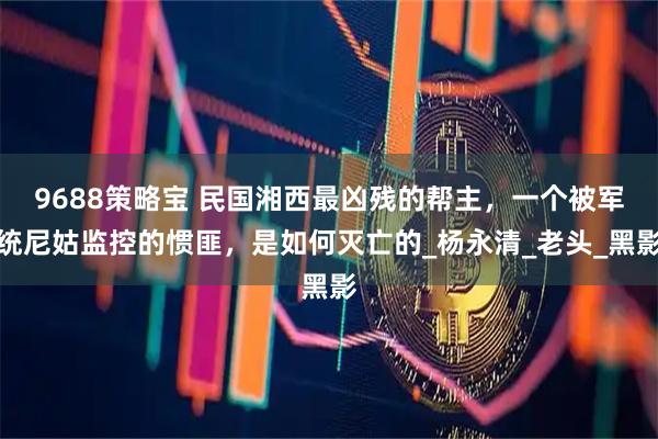 9688策略宝 民国湘西最凶残的帮主，一个被军统尼姑监控的惯匪，是如何灭亡的_杨永清_老头_黑影