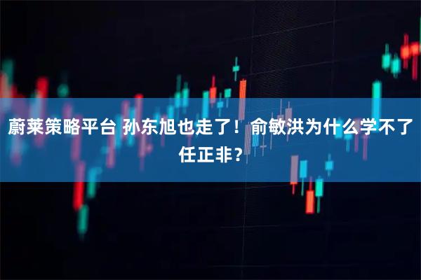 蔚莱策略平台 孙东旭也走了!俞敏洪为什么学不了任正非?