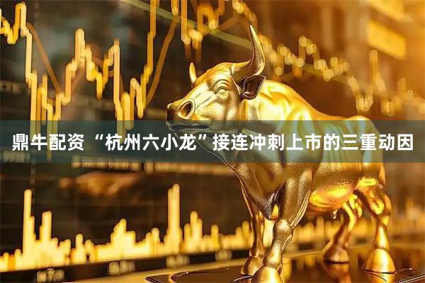 鼎牛配资 “杭州六小龙”接连冲刺上市的三重动因