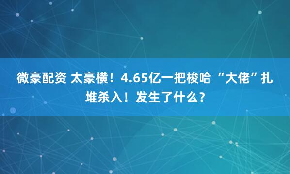 微豪配资 太豪横！4.65亿一把梭哈 “大佬”扎堆杀入！发生了什么？