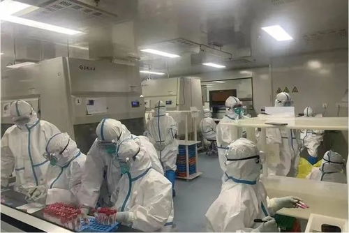 硬核高科技 惠山商会企业百泰克生物助力全球抗疫